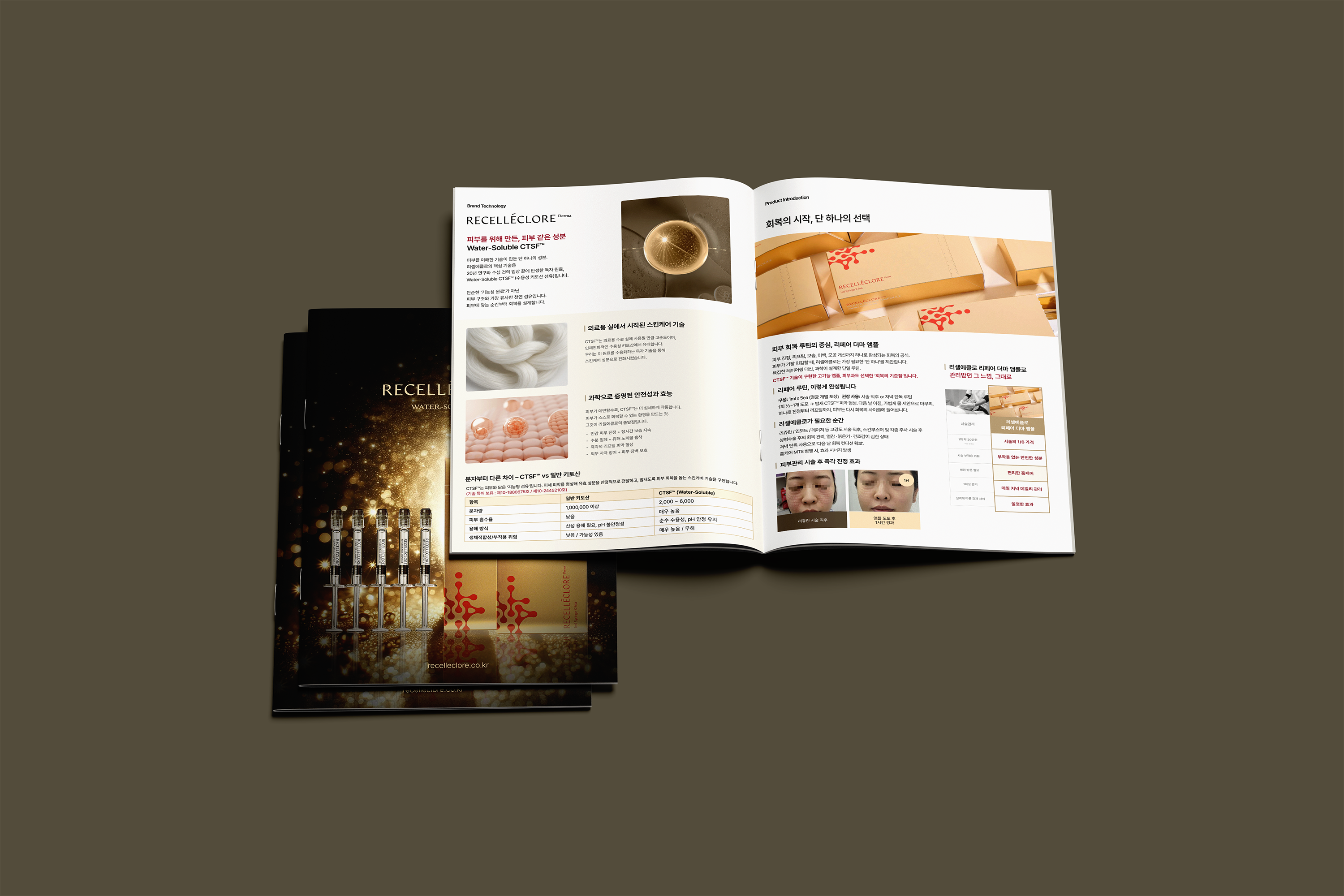 RECELLECLORE Brochure Sub Visual
