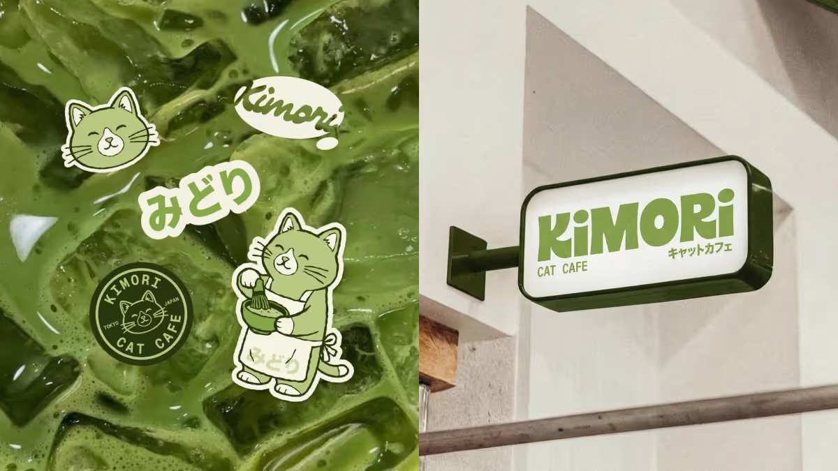 Kimori 도쿄 말차 캣카페 브랜딩 대표 이미지