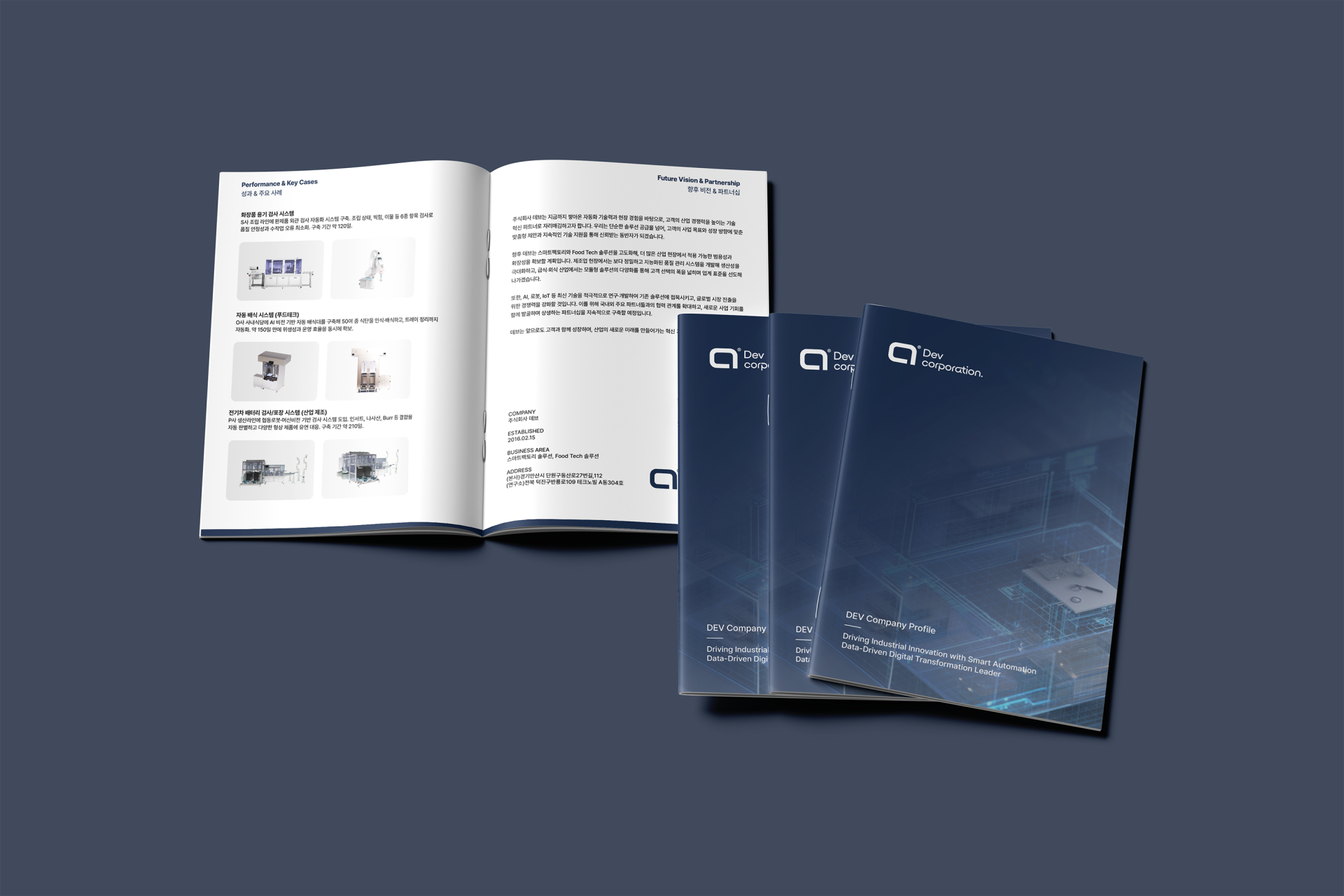 DEV Company Profile Main Visual