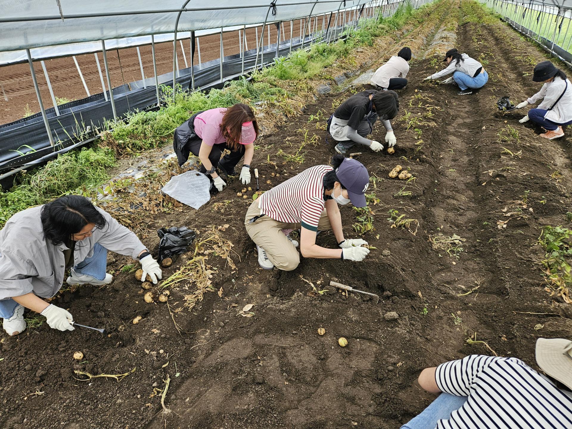 c52b086c7d56c.jpg