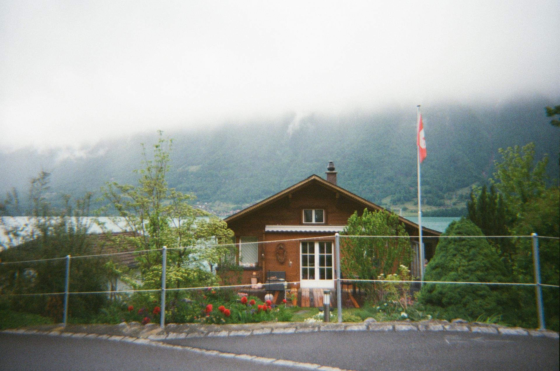 6f5032c672017.jpg