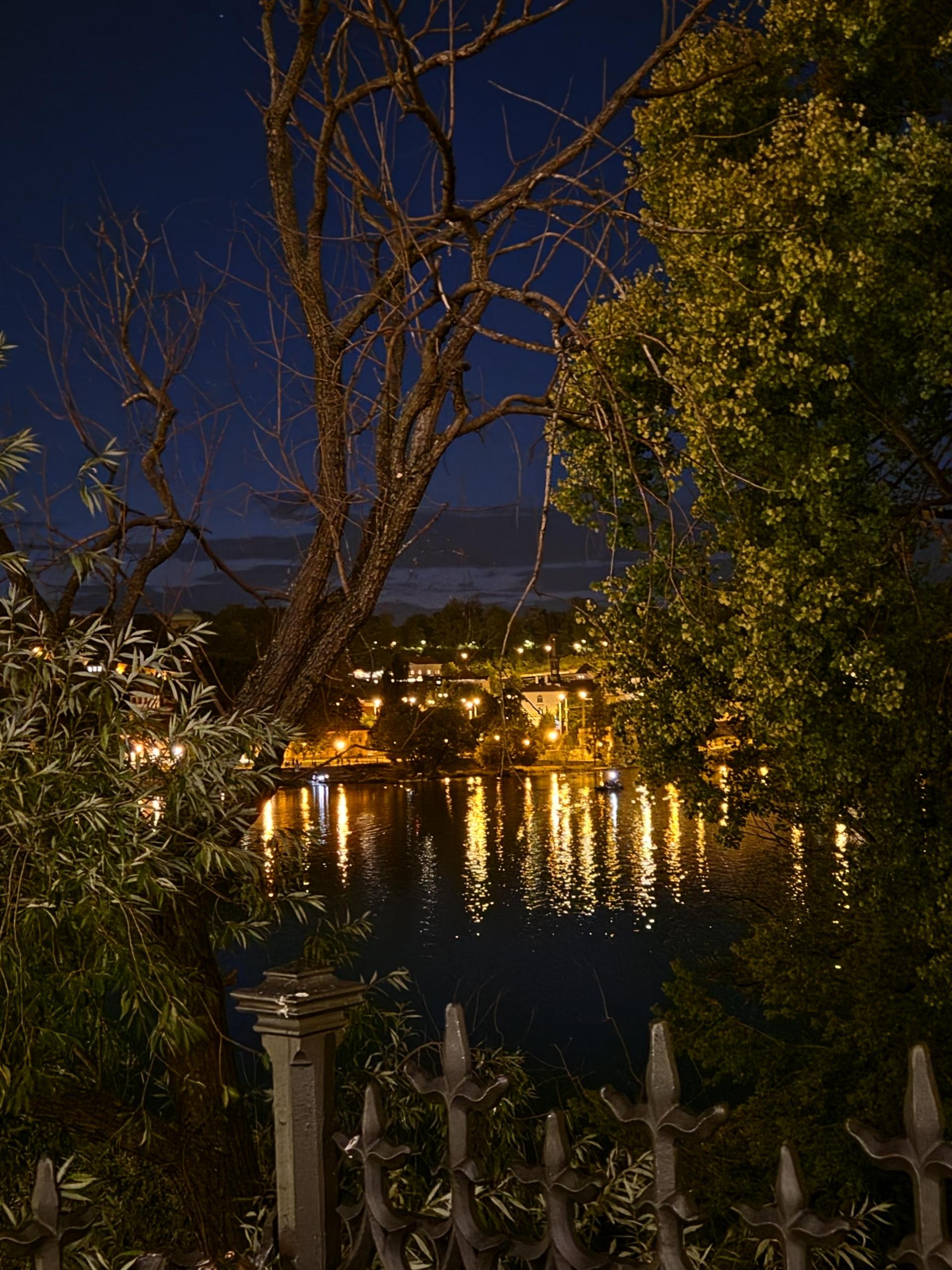 bd12c8692d06d.jpg