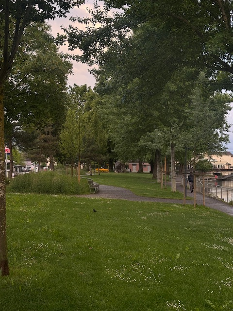 e17b0c8121a6a.jpeg