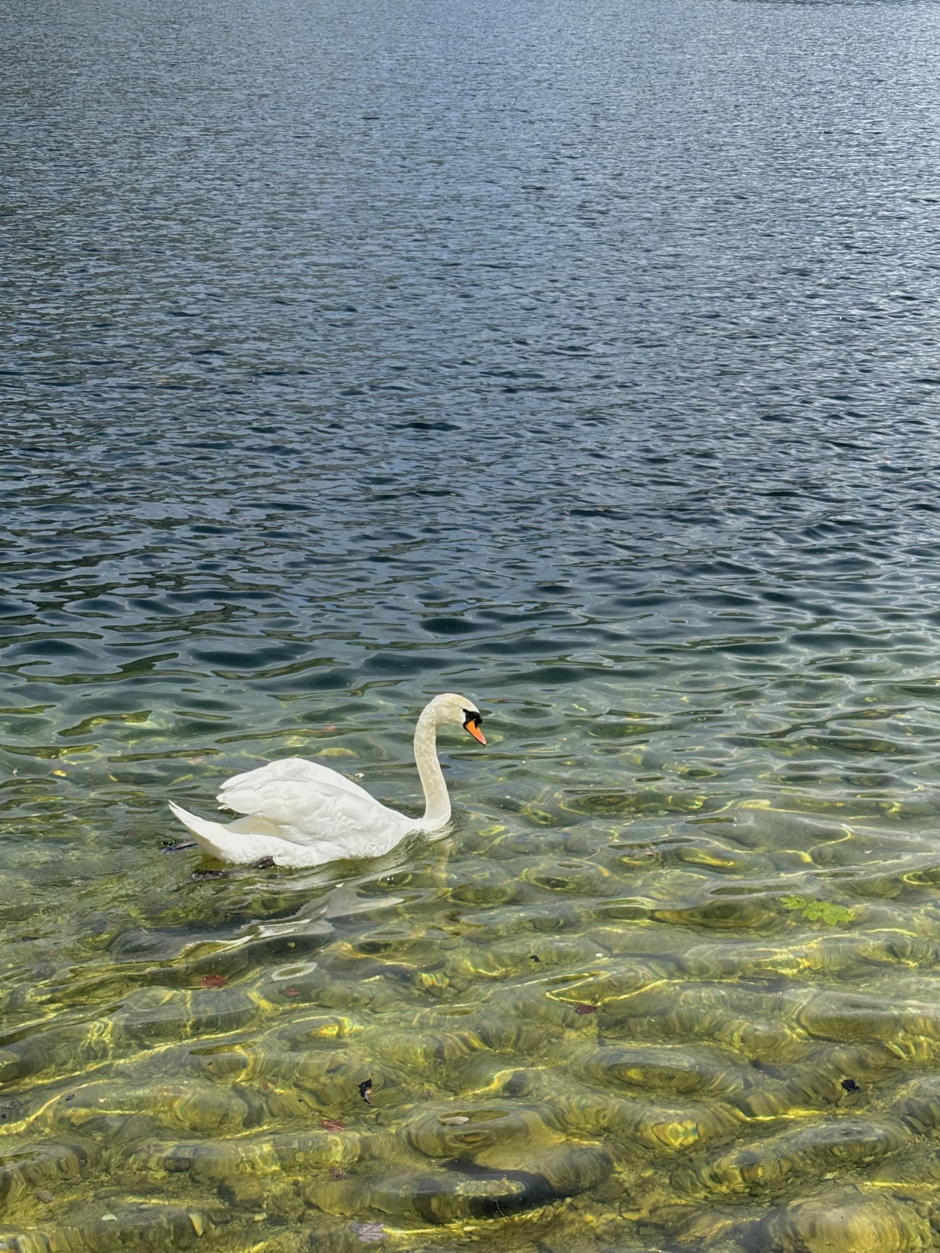 ebb72378d1279.jpeg