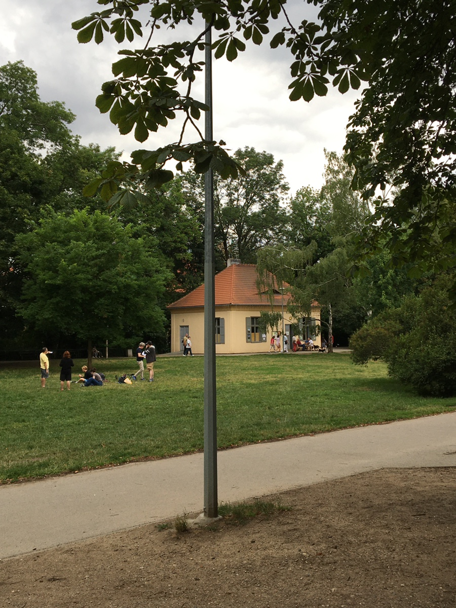 ec9373ccce41e.png
