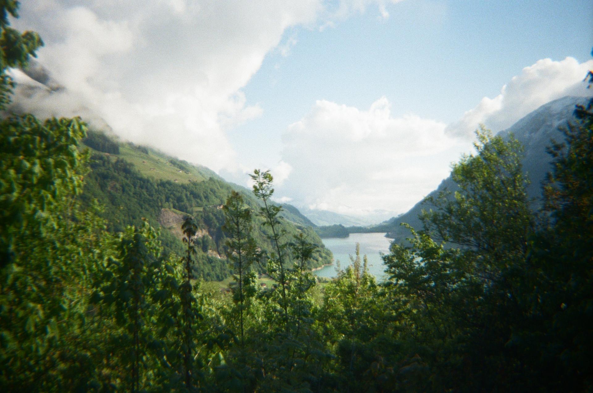 ff1532972d827.jpg