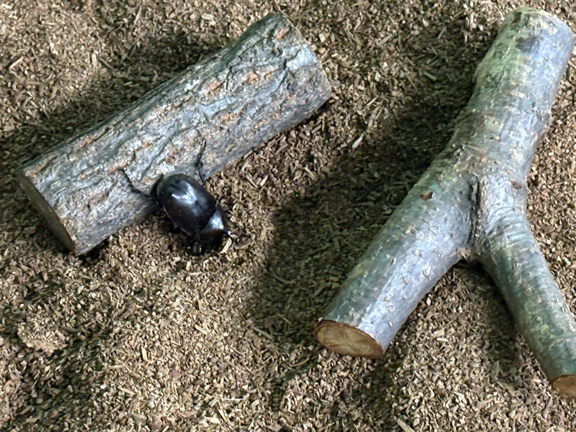 eeb09c4803474.jpg