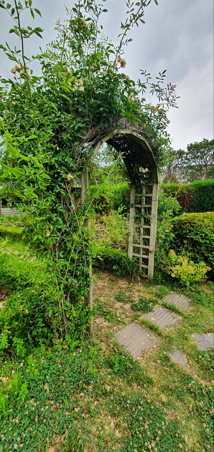 1f1b33bbfb758.jpg