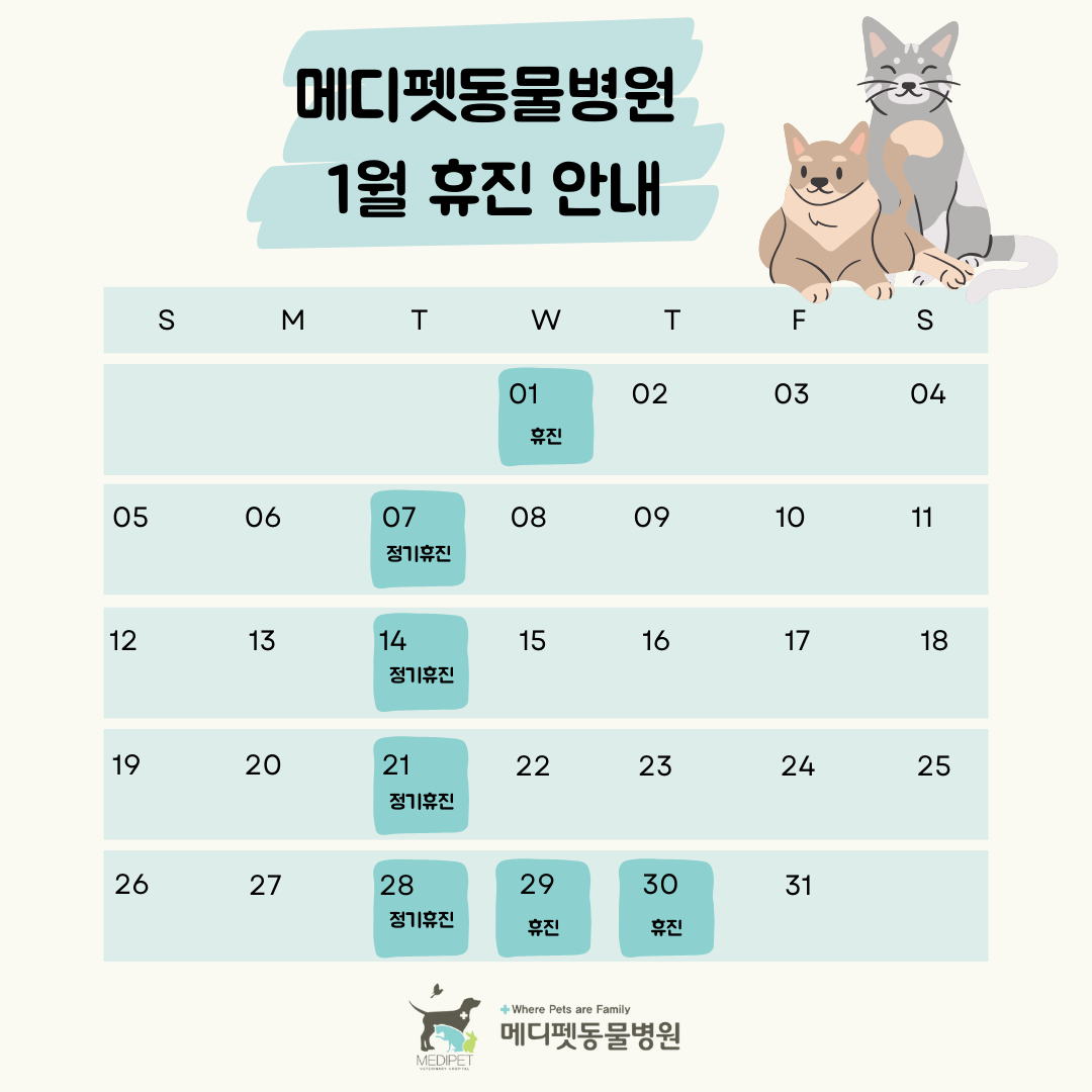 c287d916fee27.png
