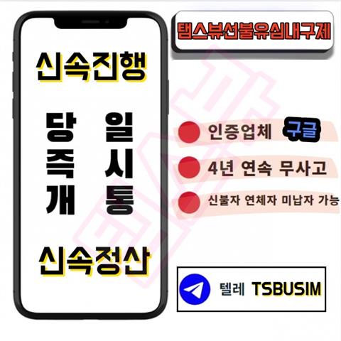 탬스뷰유심 비대면 당일 30만원 급전 해주는 곳