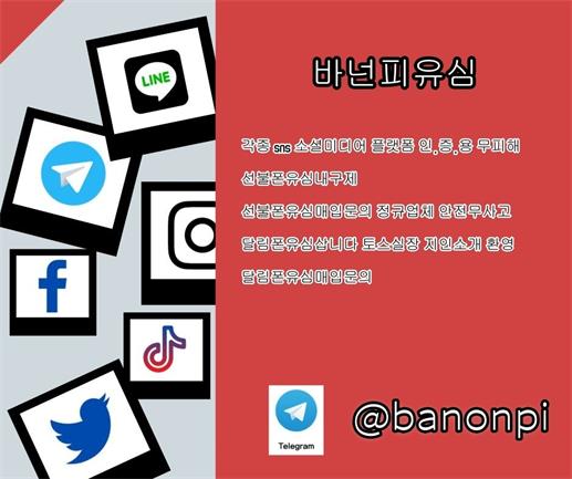 선불유심내구제 최대회선 정식업체