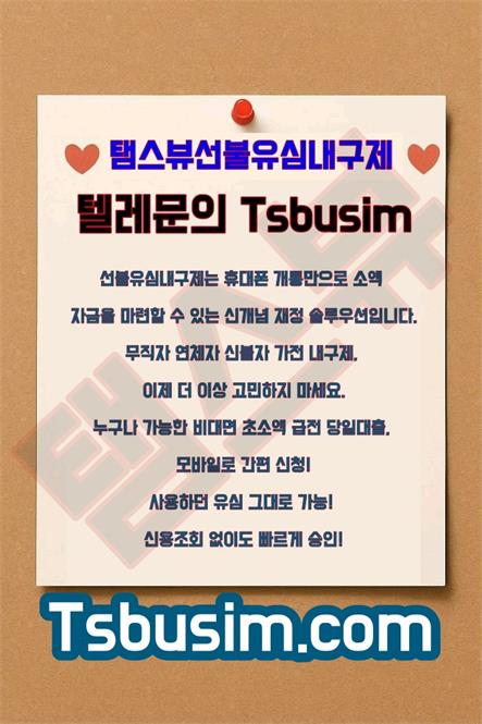 탬스뷰 선불유심 내구제 소액급전 대출 가능한 정식업체