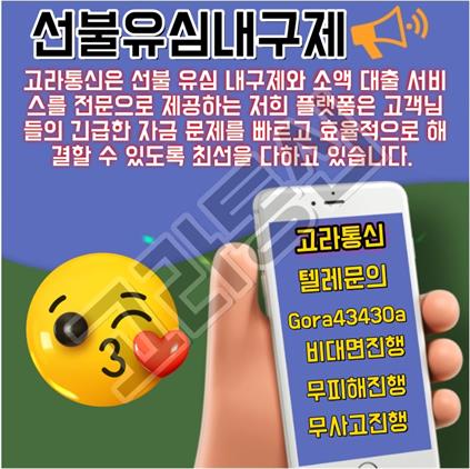 고라통신 선불유심내구제 최대회선 진행문의