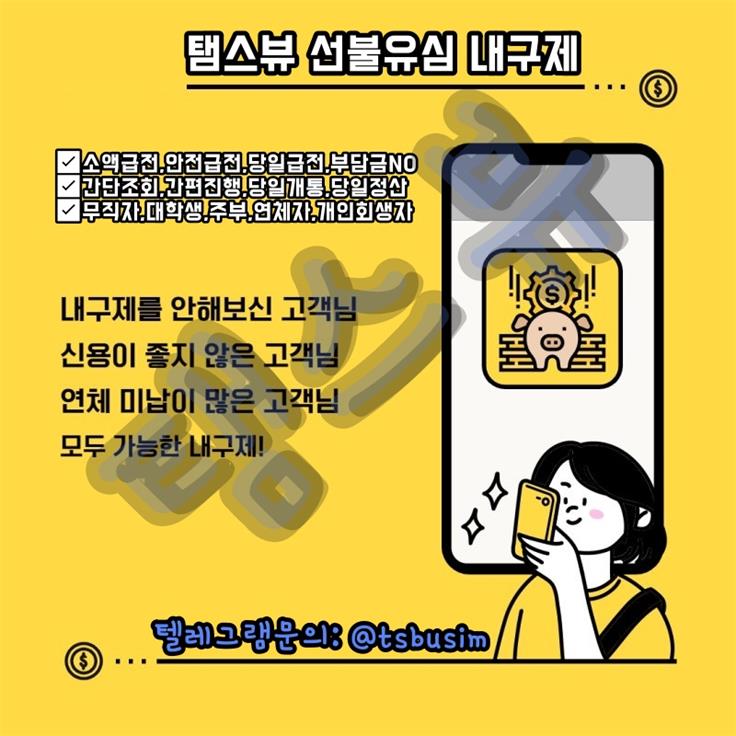 선불유심내구제 정식업체