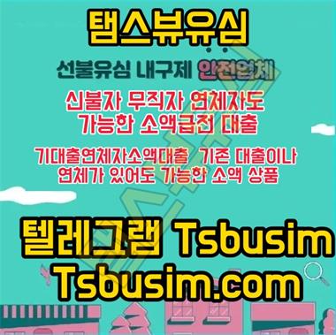 탬스뷰 선불유심 내구제 소액급전 대출