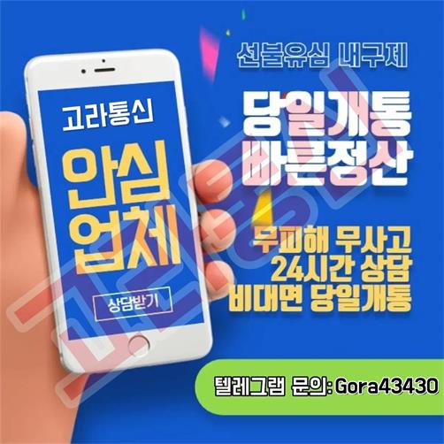 고라통신 선불유심내구제 최대회선 진행문의