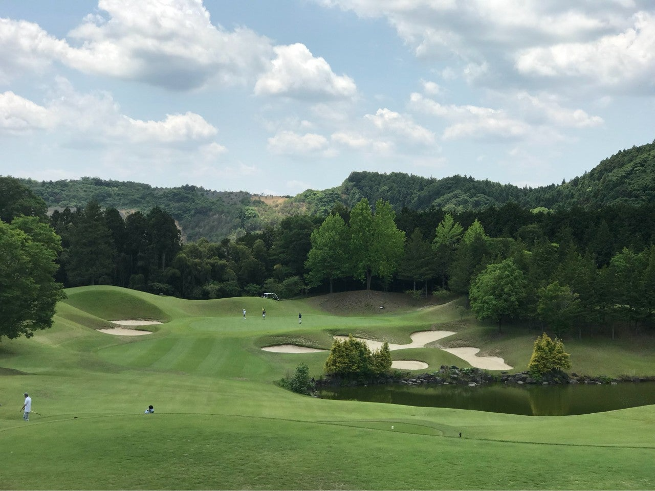 사용자가 올린 이미지