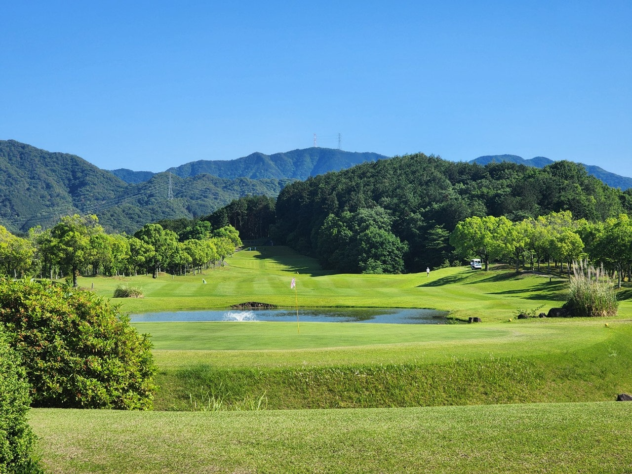 사이드바 쿼리 검색