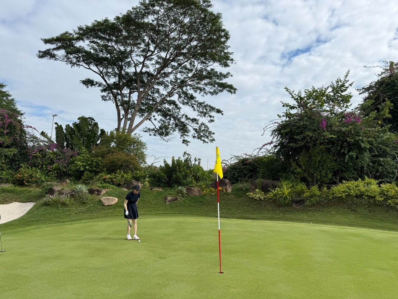 사용자가 올린 이미지