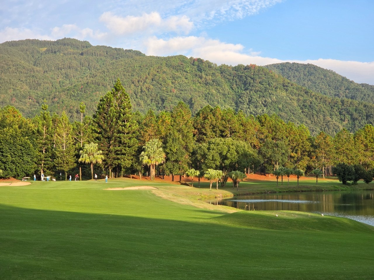 사용자가 올린 이미지