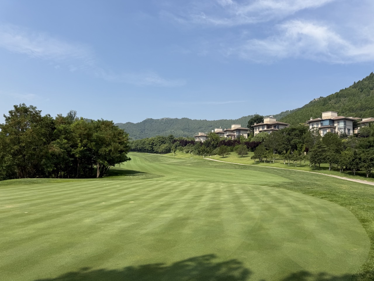 [제남] 연차없이 떠나는 직장인 맞춤골프 - 명문코스 고운호 (제남시내 핫플 인상제남 미식투어)