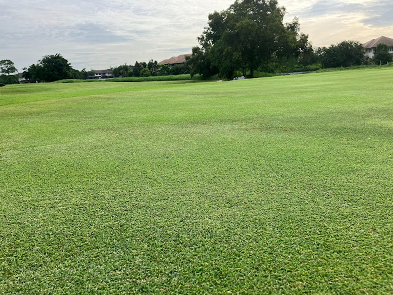 사이드바 쿼리 검색