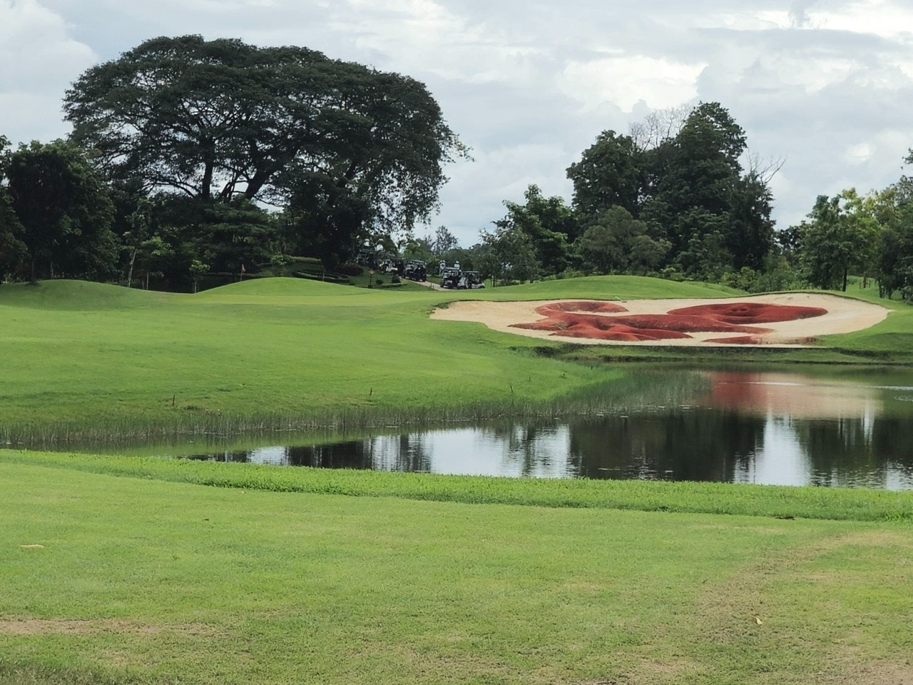 사용자가 올린 이미지