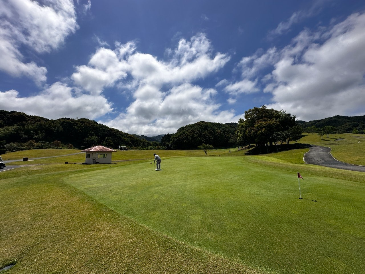 사용자가 올린 이미지