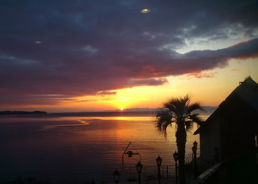 사용자가 올린 이미지