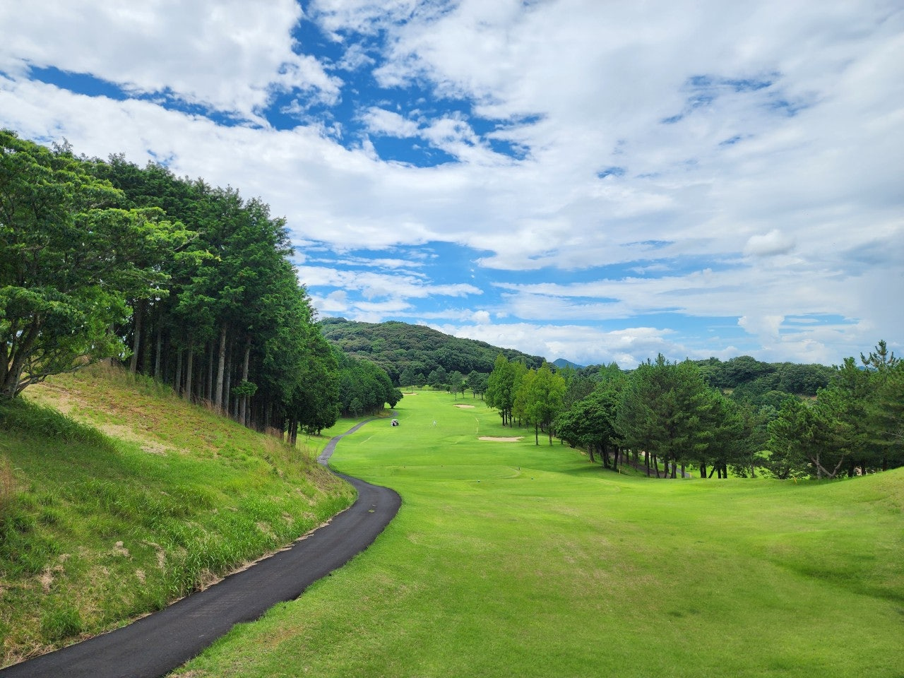 사이드바 쿼리 검색