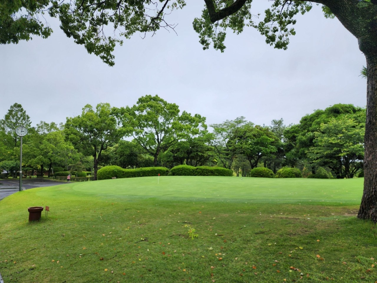 사이드바 쿼리 검색