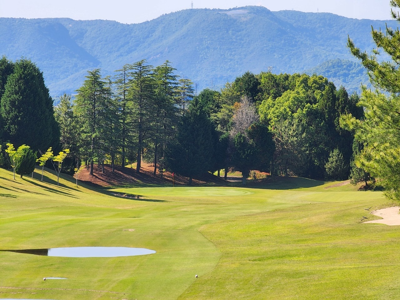 사이드바 쿼리 검색