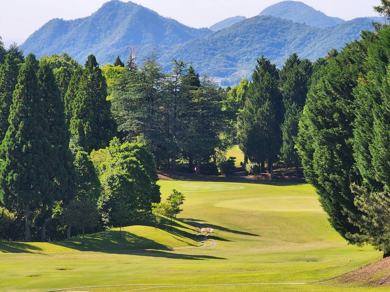 사이드바 쿼리 검색