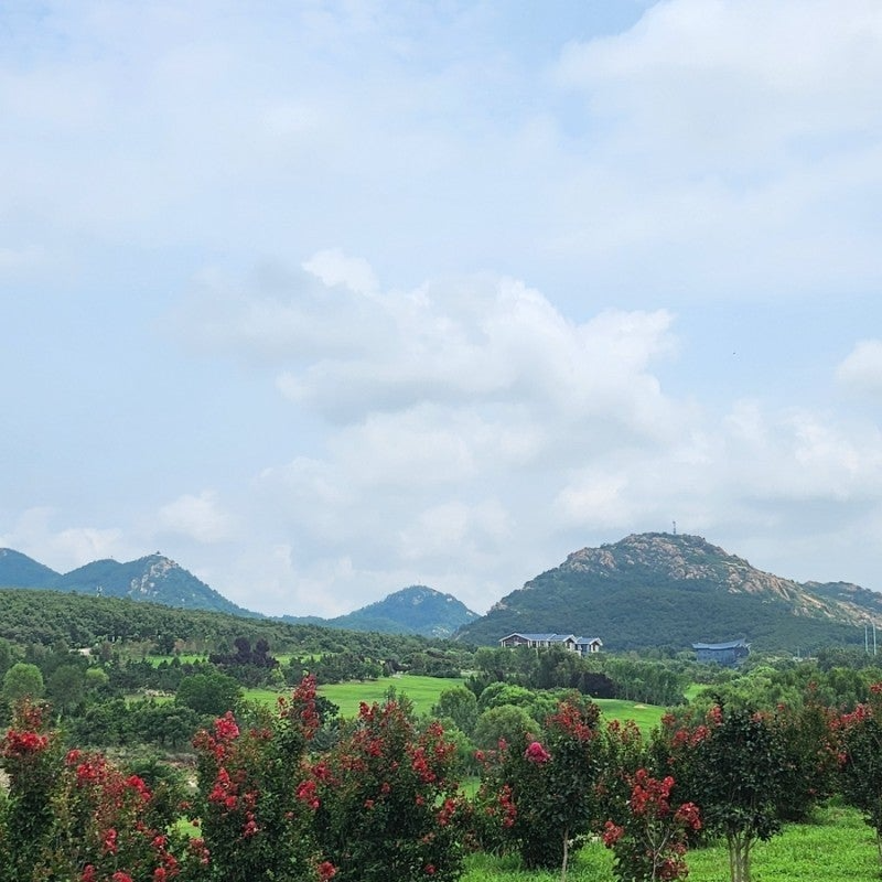 사용자가 올린 이미지