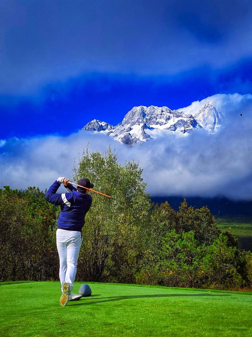 사용자가 올린 이미지