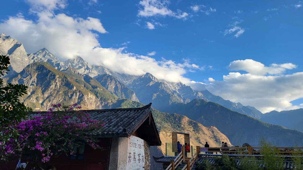 사용자가 올린 이미지