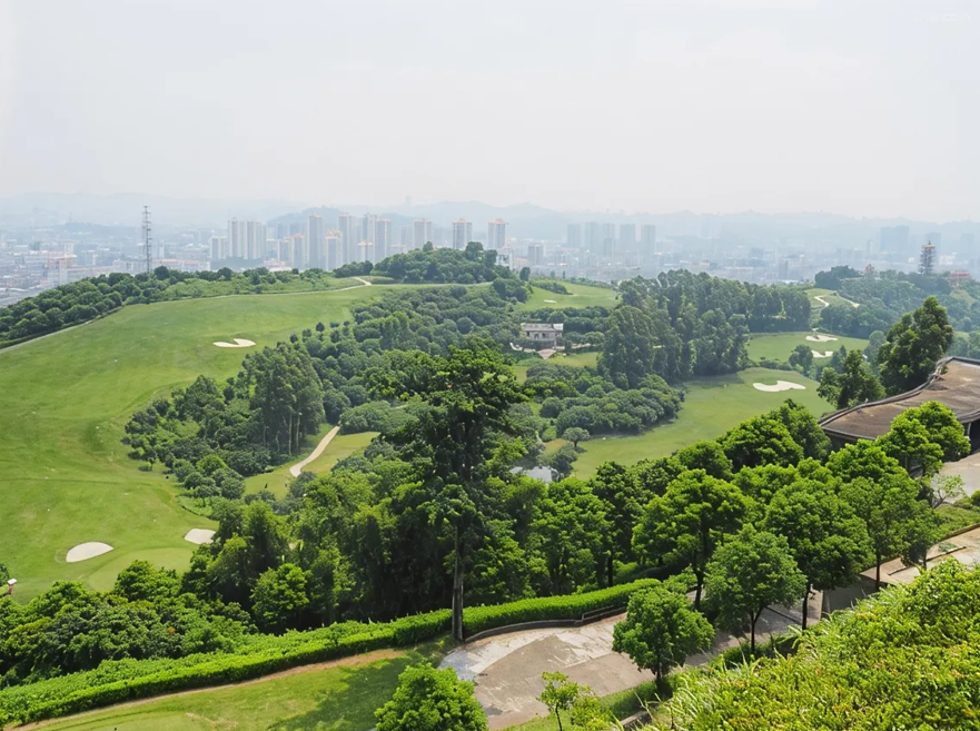 [11월 이벤트 월례회] 심천 봉황산CC 3박4일 ALL포함