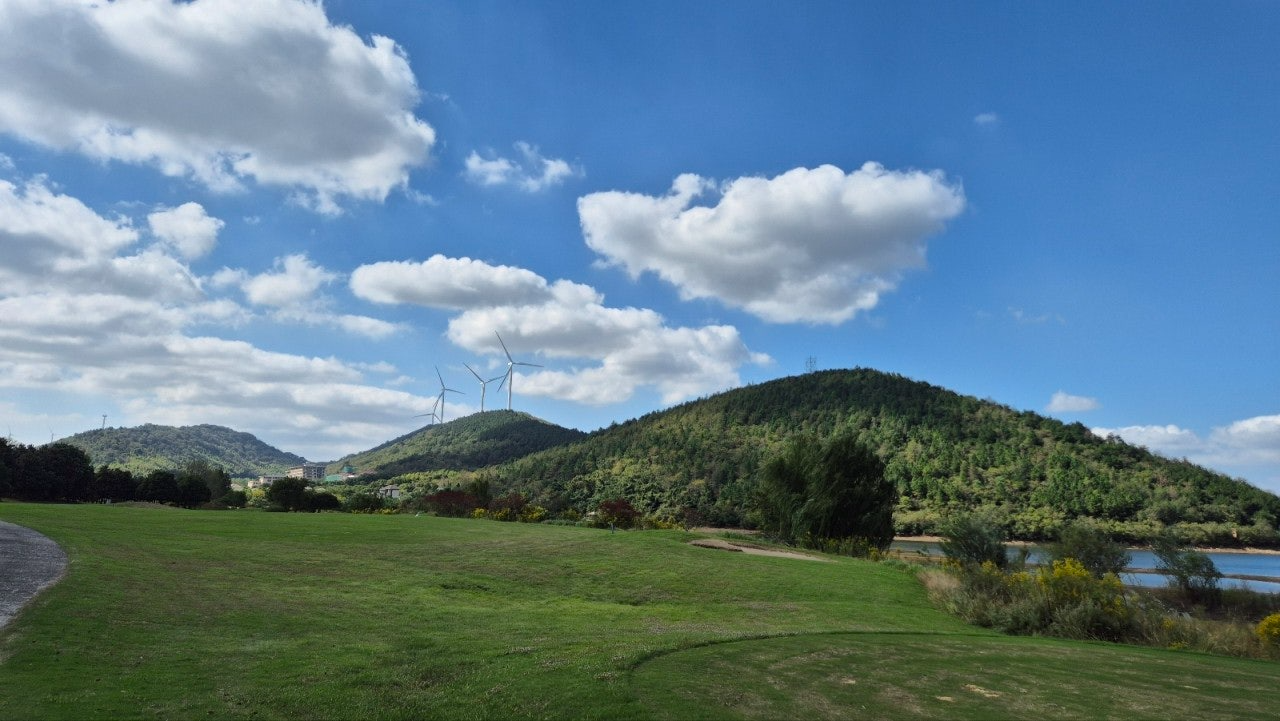 사용자가 올린 이미지