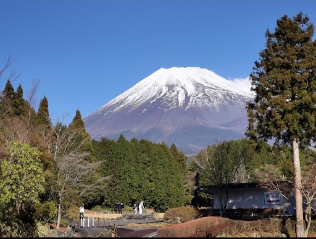 사이드바 쿼리 검색