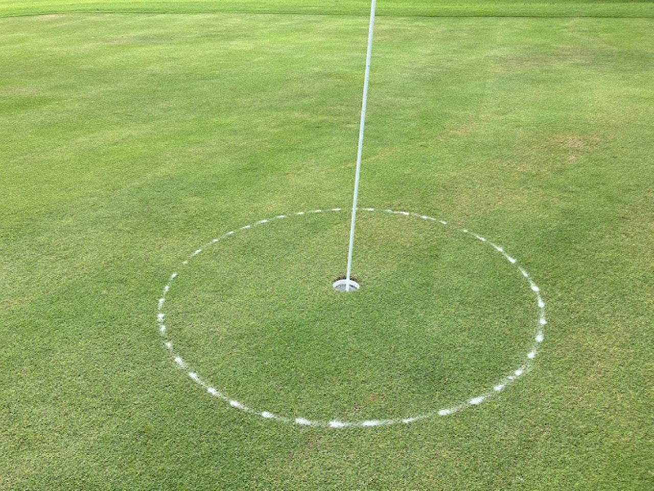 사이드바 쿼리 검색