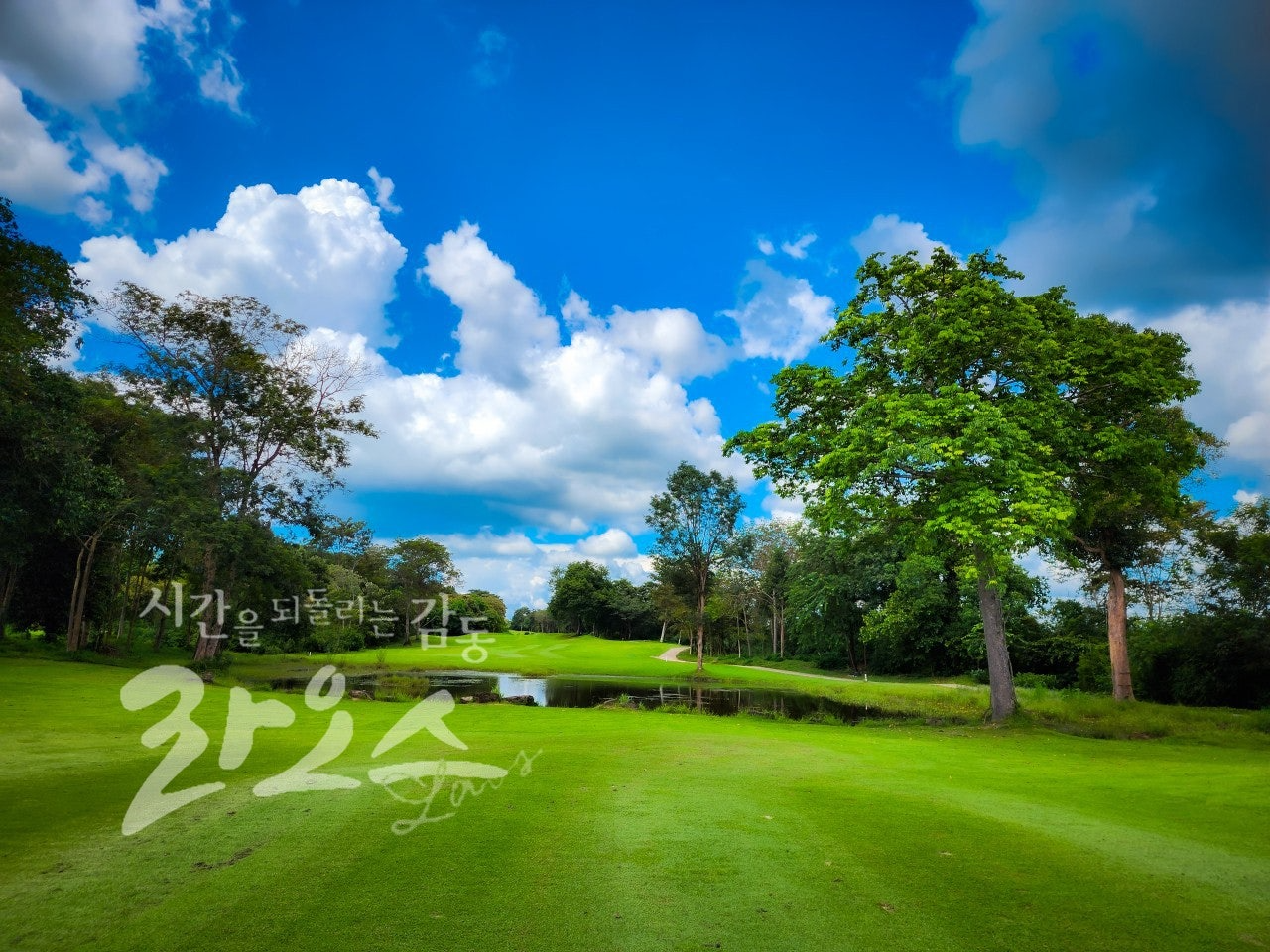 사용자가 올린 이미지