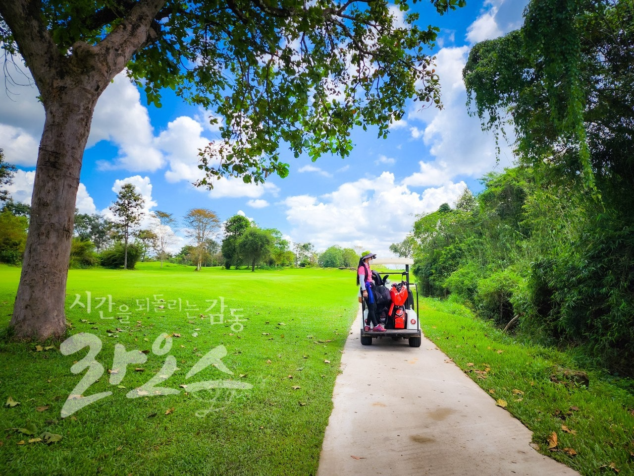 사용자가 올린 이미지