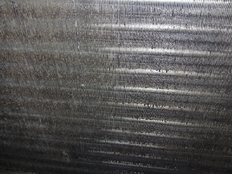 49725c5340e2f.png