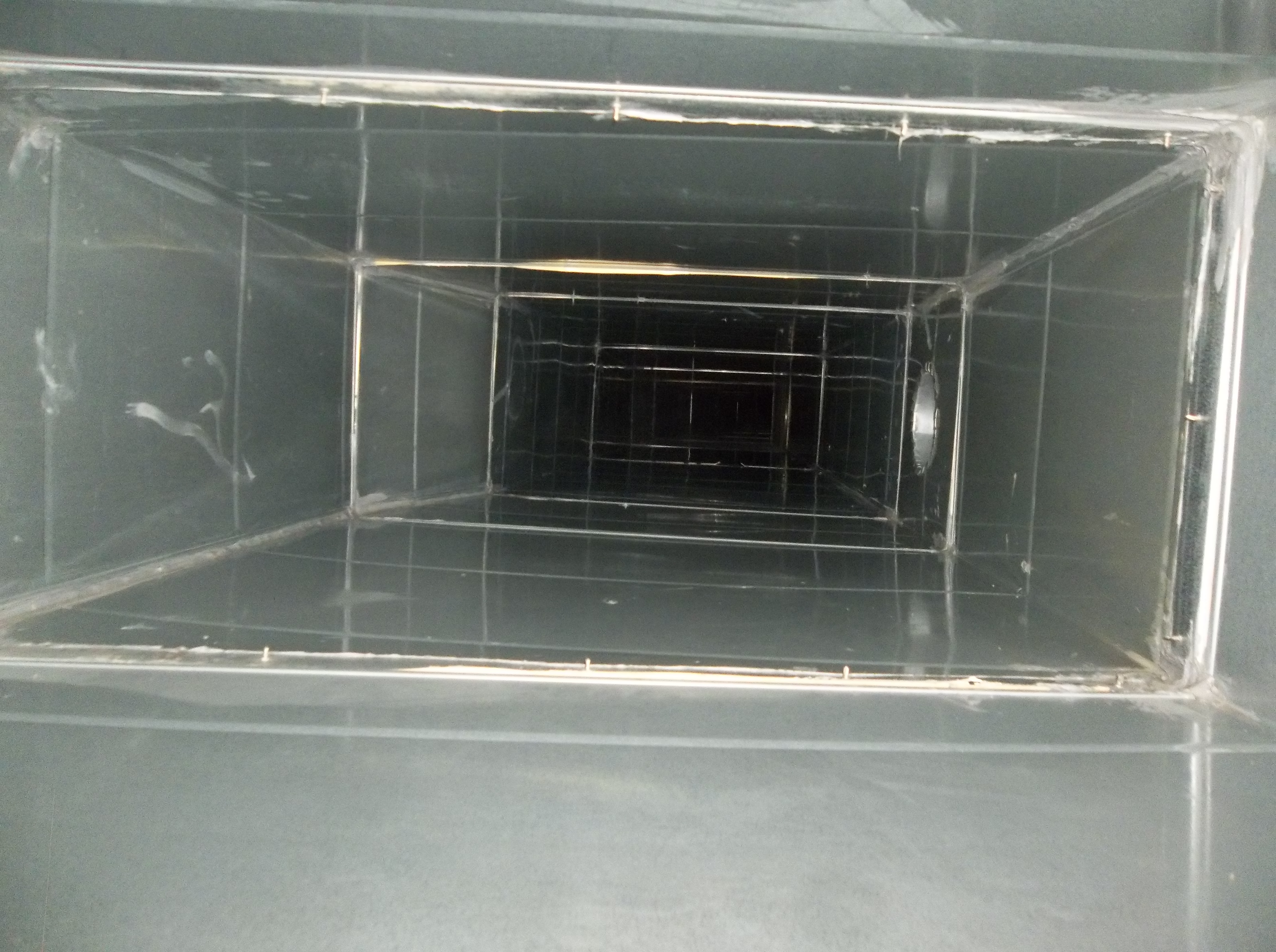 e493df7944359.jpg