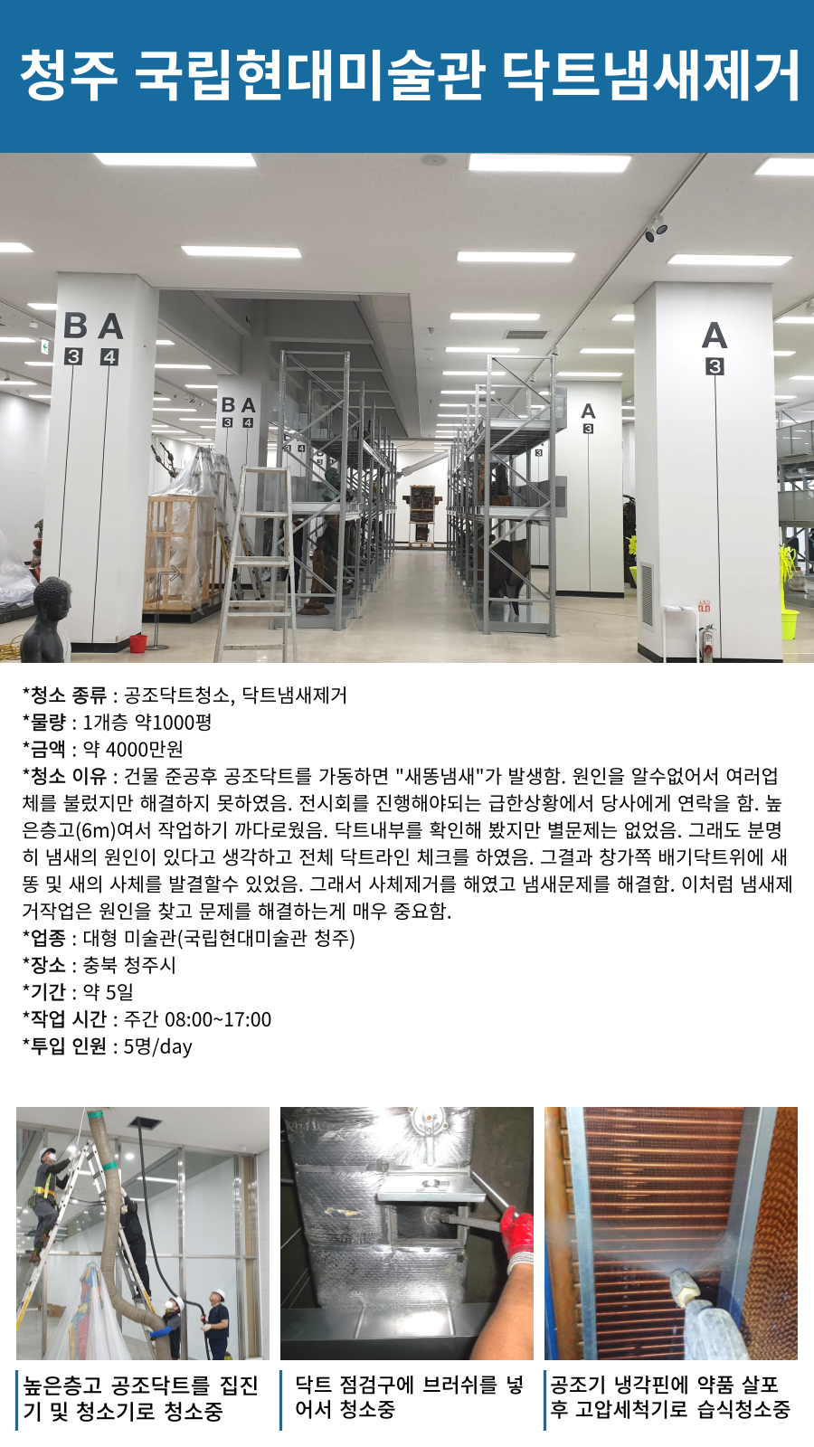 fbb1430697b42.png