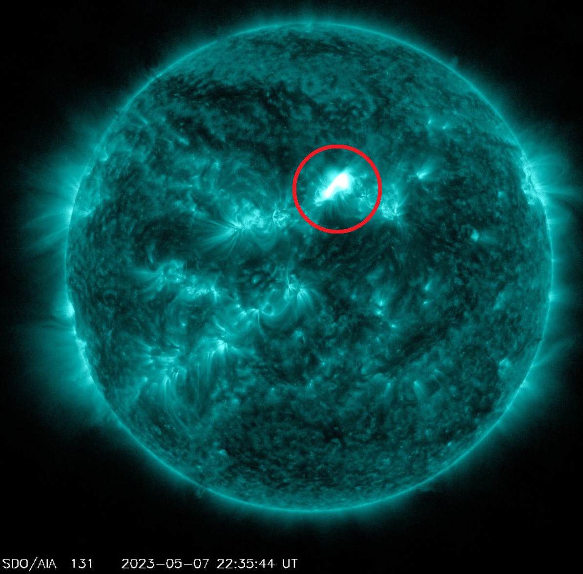 2e0ad1196a009.jpg