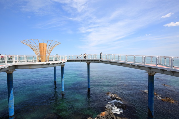dd167757a50d1.jpg