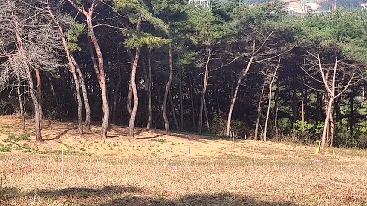 ca447c7a330f7.jpg