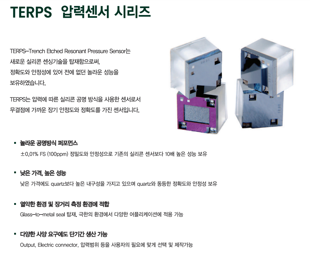 드럭 DRUCK DPS8000 | 고정밀 디지털 압력센서 -
