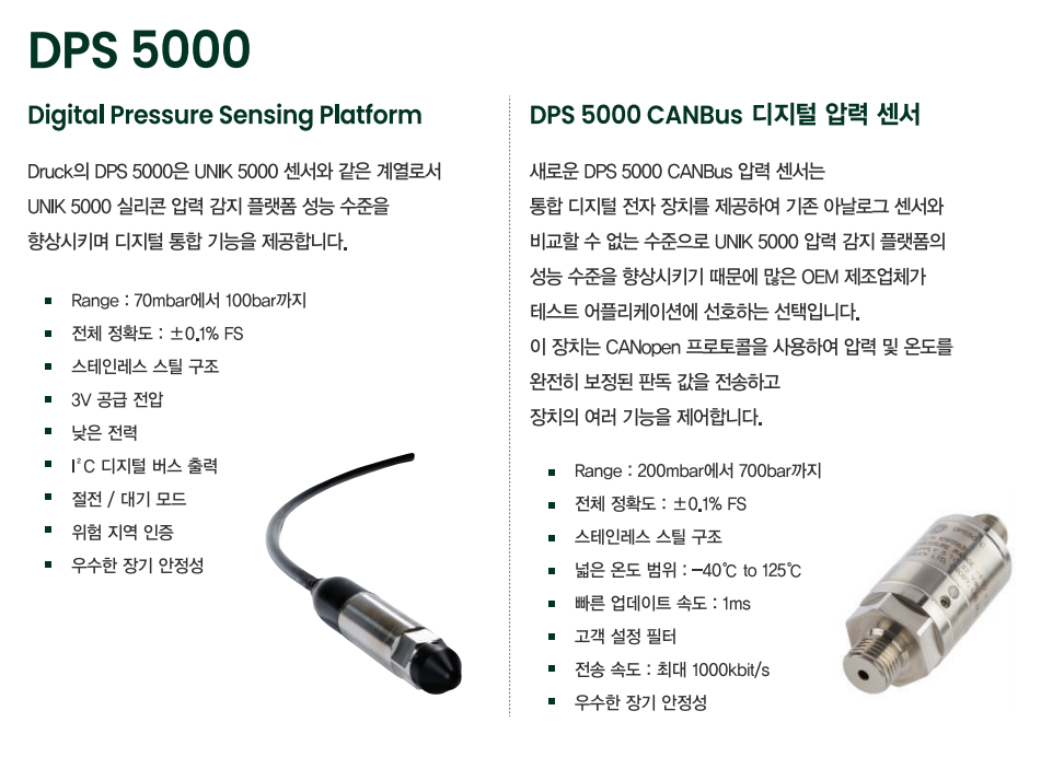 DRUCK 드럭 DPS5000 디지털 압력센서 -